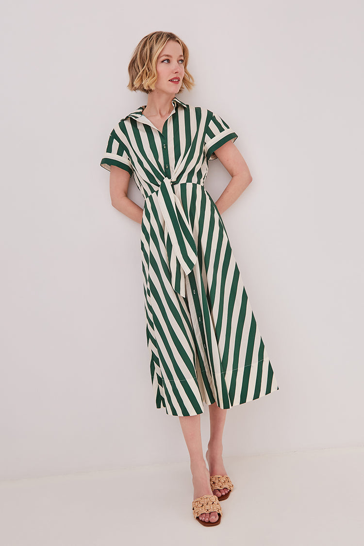 green striped shirt dress Asbury Midi Shirtdress in Cotton