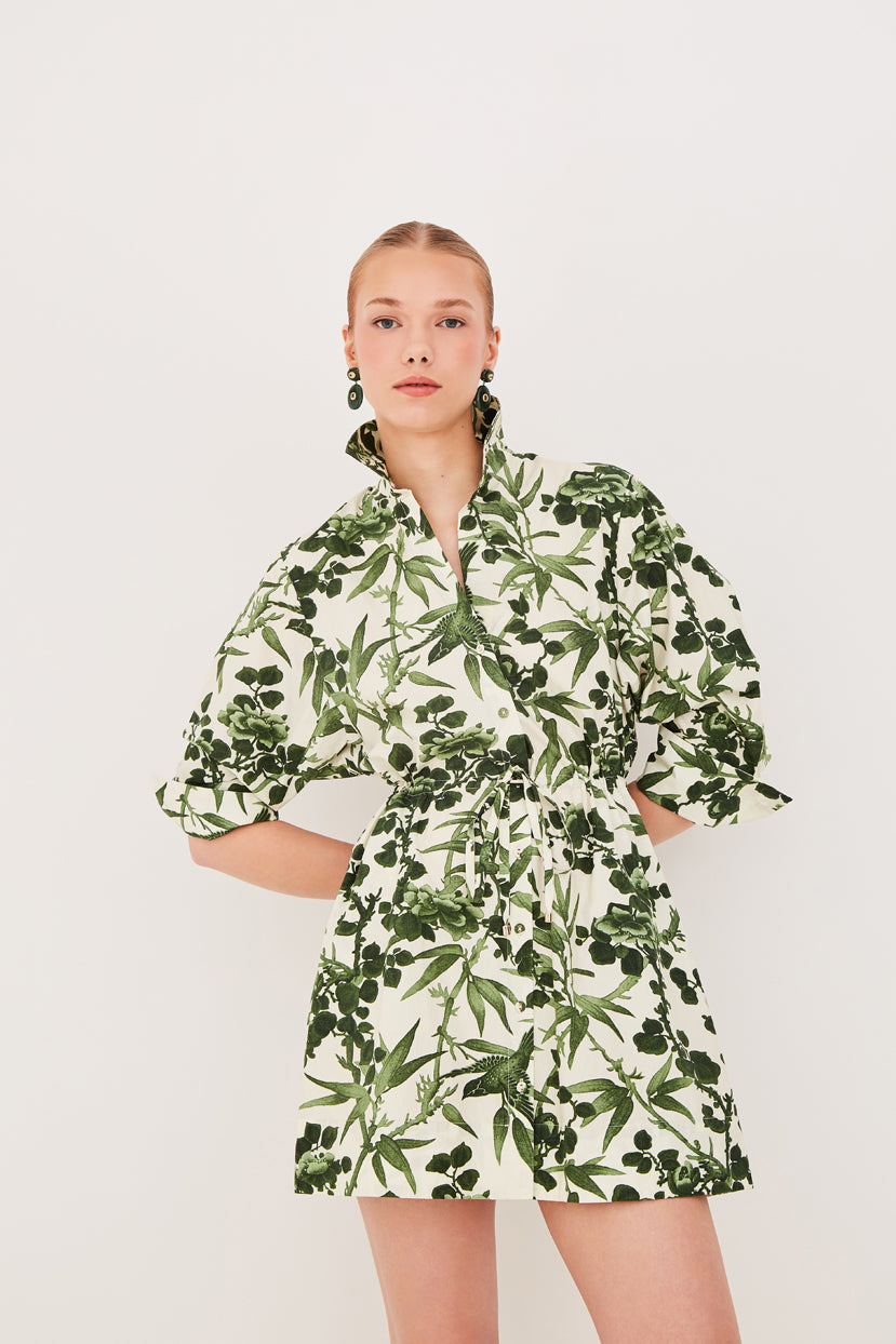 Henry Dress Henry Dress