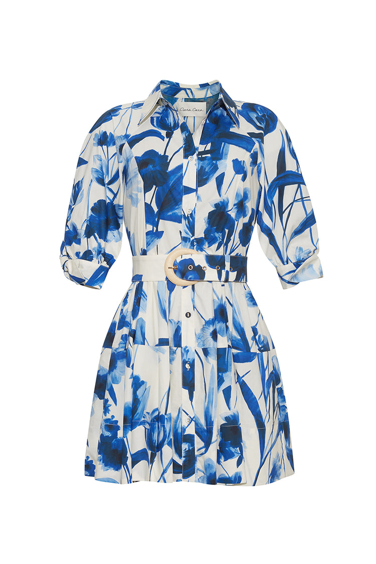 carol mini dress Caro Mini Dress in Cotton
