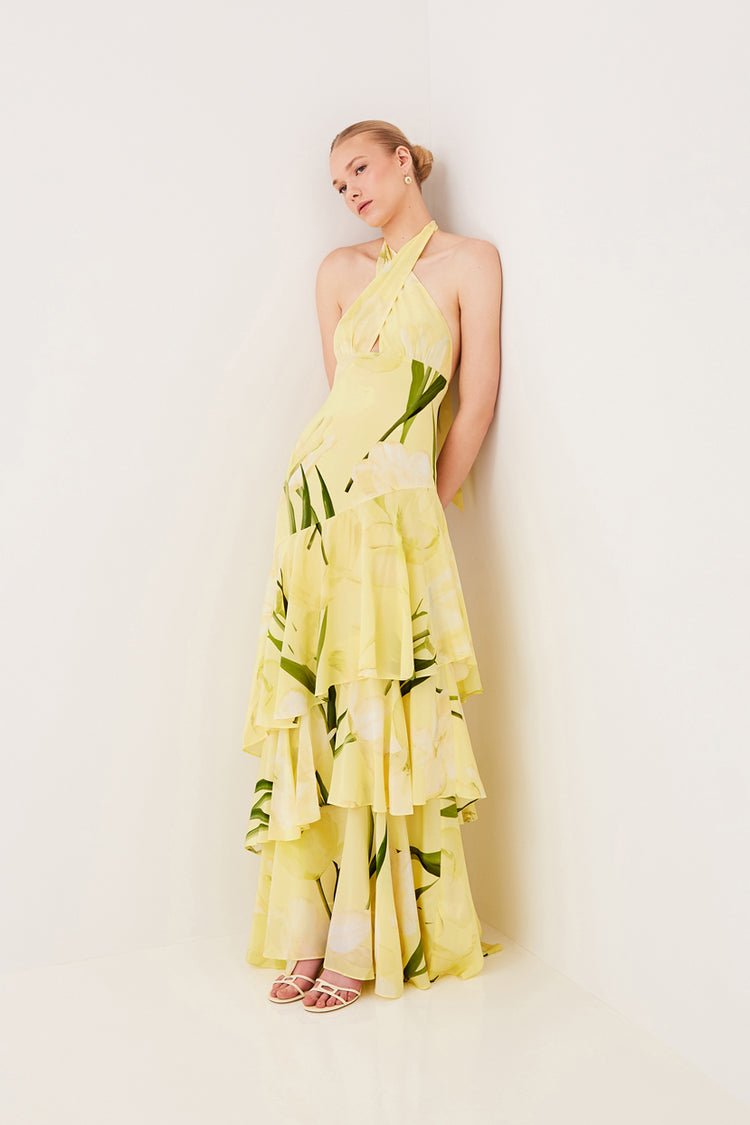 Amethyst Halter Maxi Dress in Silk