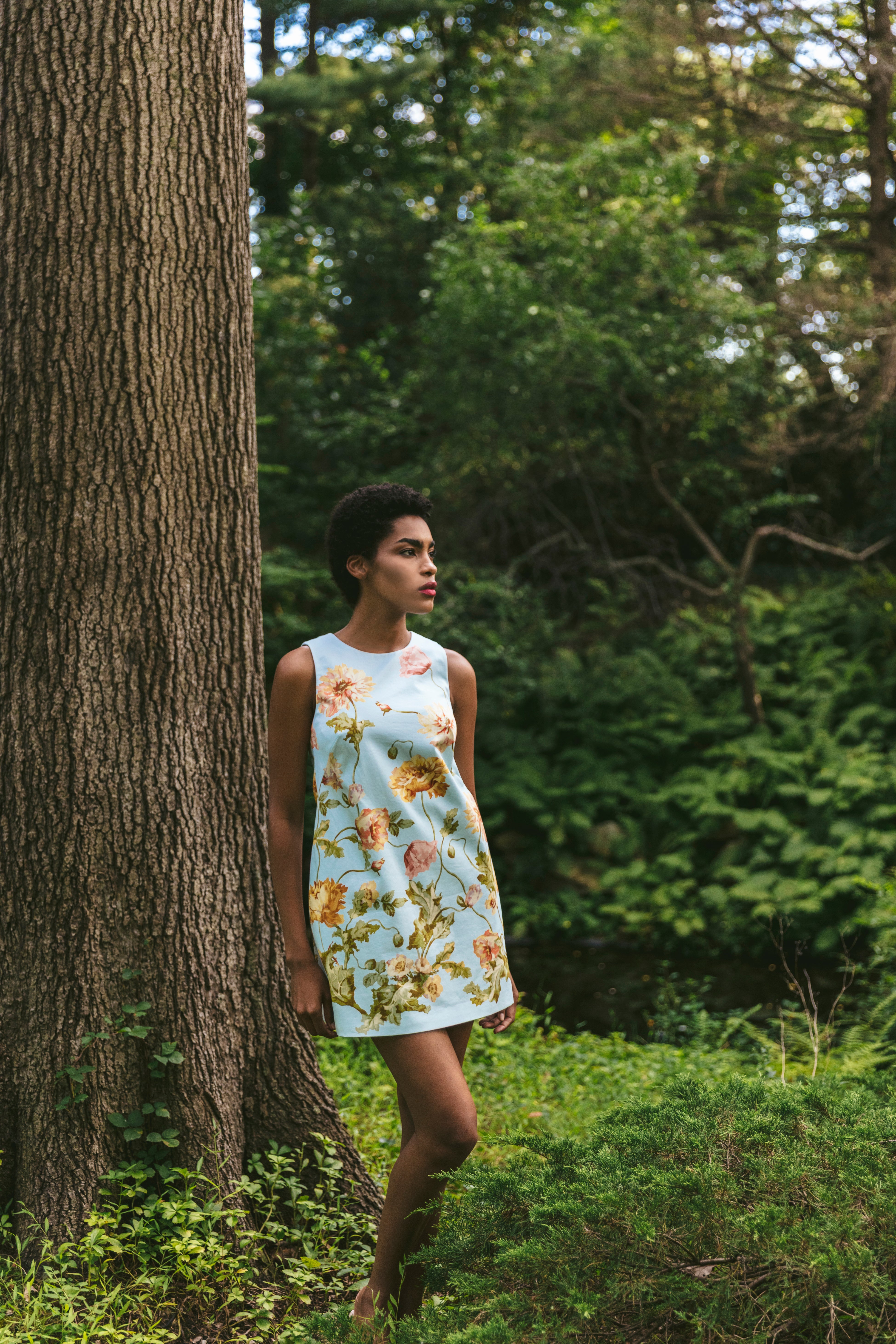 Mackenzie Shift Mini Dress in Cotton | Cara Cara New York Mackenzie Shift Mini Dress in Cotton | Cara Cara New York