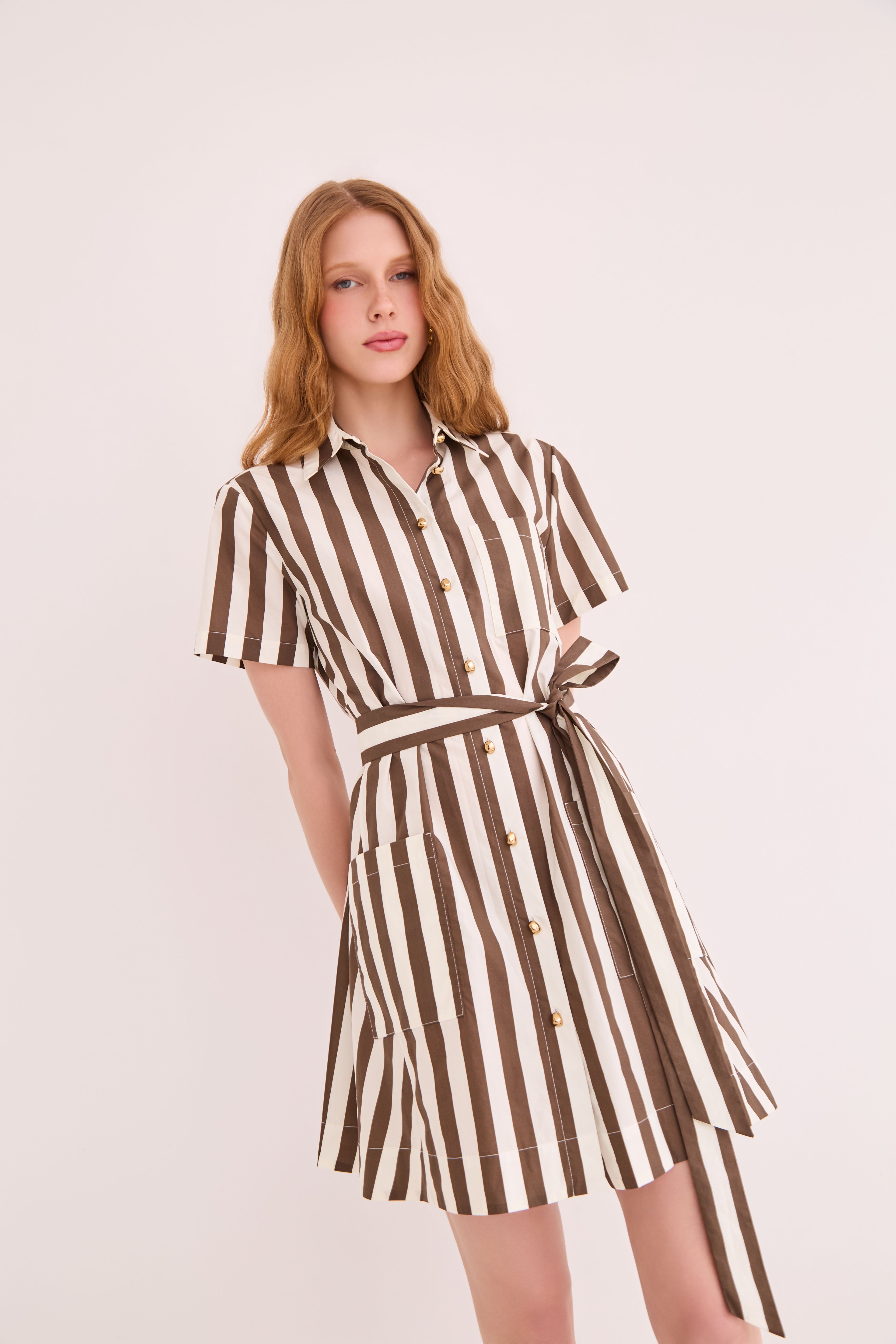 brown and white striped dress Stripe Tie Waist Puff Sleeve Mini Shirt Dress