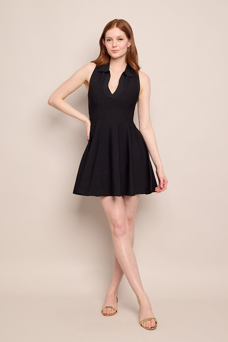 Braylee Mini Dress in Black XXL / Black Braylee Mini Dress in Black XXL / Black