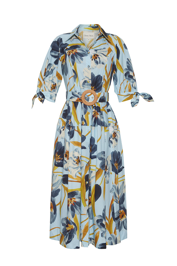 showpo cariela midi dress Caro Midi Dress in Cotton