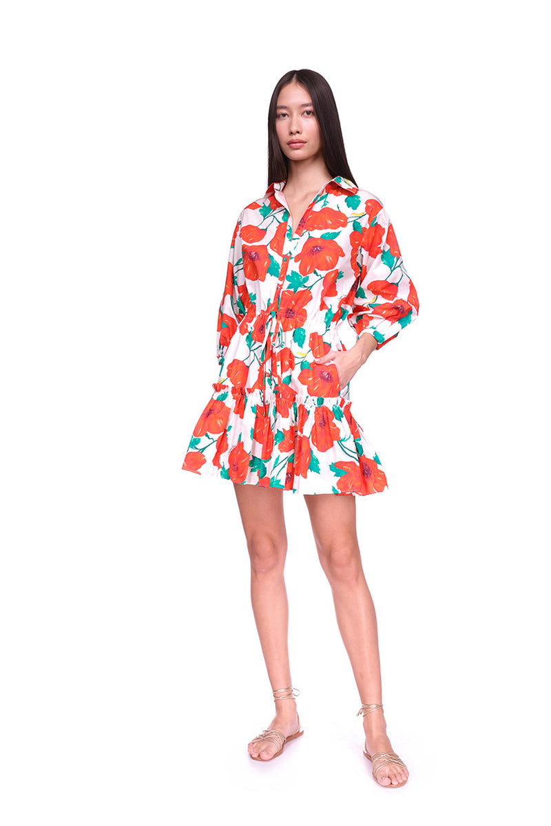Robin Dress